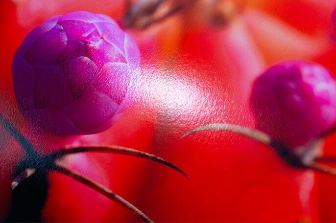 vibrance-baryta-breathing-color-366338
