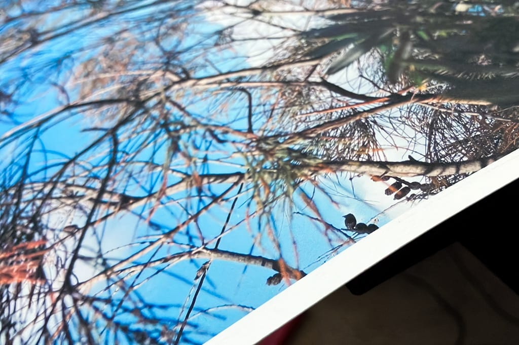 vibrance-baryta-matte-art-paper-breathing-color-492718